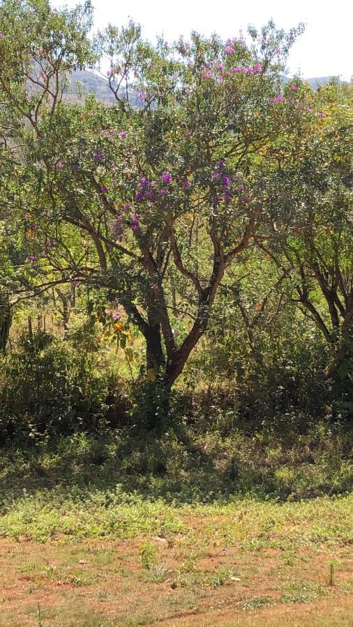 Chales Maricota Vargem Bonita Bagian luar foto