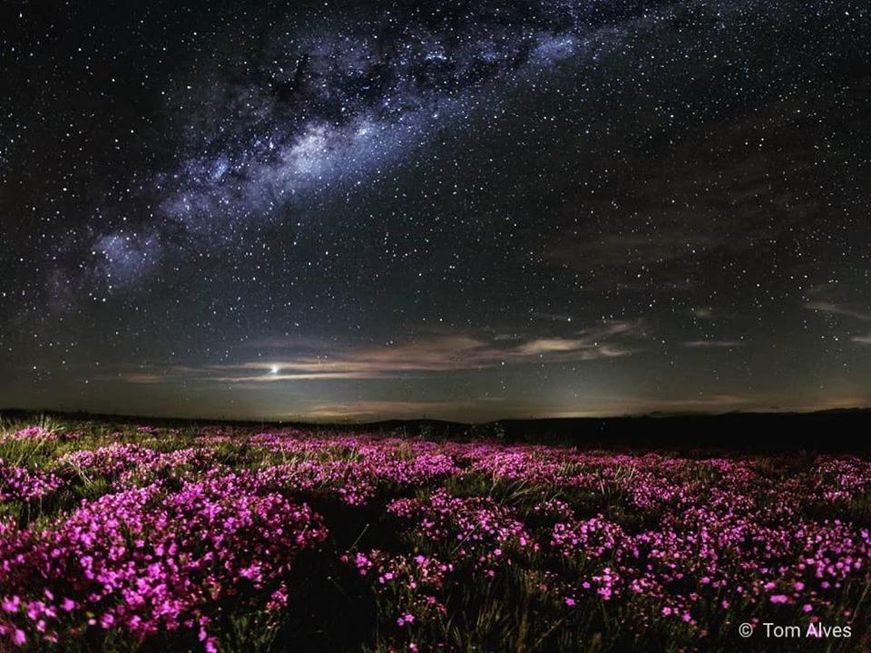 Chales Maricota Vargem Bonita Bagian luar foto